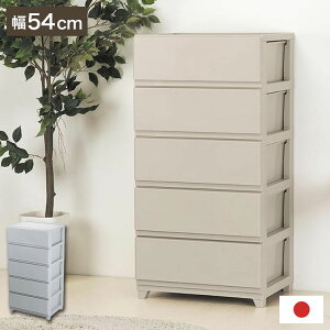 { gȒP [P[X `FXg fRj[V[HCh 5i 54×s41.5×106.1cm JEJAXe[W [{bNX ^X rO`FXg [ N[[bg (s