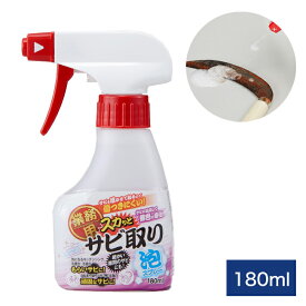 業務用シリーズ スカッとサビ取り泡スプレー 180ml 気になるサビに シュッとひと吹き 業務用シリーズ サビ落とし お掃除グッズ アイメディア aimedia(代引不可)