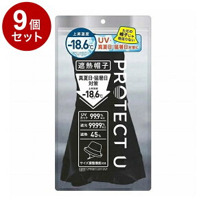 �y�P�i9�Z�b�g�z PROTECT U �{�E�V01�u���b�N �ՔM�X�q �ՔM �X�q ���P�X�q ���Ă��h�~ ���O���΍� �������y���������z