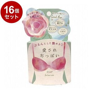 yPi16Zbgz ꂨς 70g {fBPA XLPA pPAyz