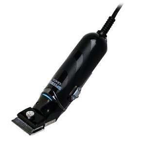 Xs[ Xs[fBN OVA ubNyz