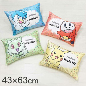 Jo[ sJ`E jIn zQ[^ NbX |P |PbgX^[ ܂ P[X s[ s[P[X V^ ʂ 43×63cm(s)yz