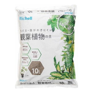 b`F ŇbR ϗtA̓y 10L A | y  | K[fjO 킫ɂyz