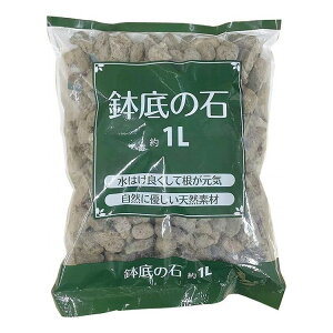 y5Zbgz GI[ ̐ 1L 1691 邢  | K[fjO  (s)yz