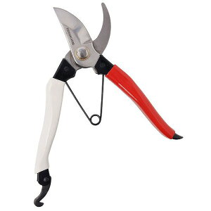 A[NhTJg CLUB.J XeX  200mm