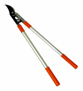 A[NhTJg CLUB J A~nhMA}  725637yz