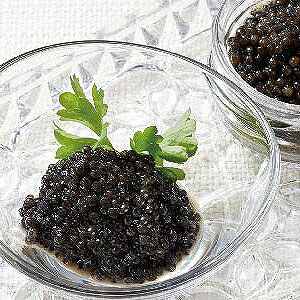 y①zAJ tXY LrA Yn Y Hi Hו  O nO(s)yz