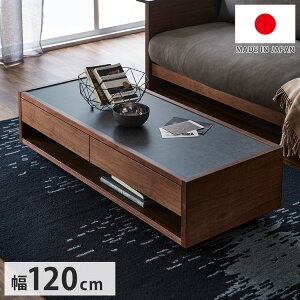 Z^[e[u Y 120cm ~f h ϔM ɋ ȒP o [ I[v[ a { ͗lւ z V(s)yz