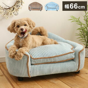 ybg\t@ 66cm rO\ ӂӂNbV SNSf nC^Cv u[ `bNt NbVt Lp  L ^ ybg ybgpi(s)yz