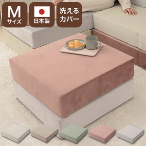 ubN\t@ MTCY 60×60×15cm xAn CAEgR gi ςݖ؃\t@ [\t@ }bgX rO Q q 킢 ֎q ubN ςݖ {  􂦂J