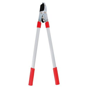 ^JM A~ } 2026392(s)yz