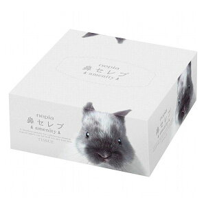 lsA @ZuAjeB eBV @Zu 䏊EpiE[ ƒpi ƒՕi(s)