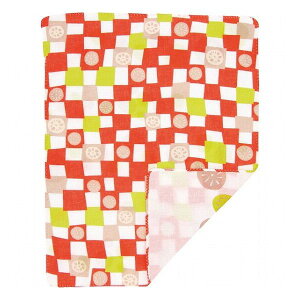 낿 ʃK[[nJ` 񂱂s 42102111 @ێG nJ` nJ`EG݃Zbg(s)