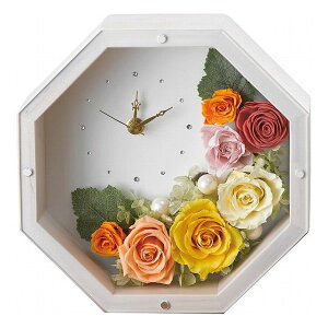 LOLY �A���e�B�[�N�z���C�g(�v���U�[�u�h�t�����[)(��������) �C�G���[ ���������i �ԁE�O��-�� �h���C�A�����W��(����s��)�y���������z