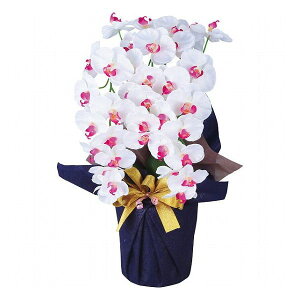 A[eBtBVt[  3{Ӓ zCgr[eB[ ncr-24019-3-wb i ԁEO- A-gAW(s)yz