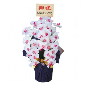 A[eBtBVt[3{Ӓ(Dt/) zCgr[eB[ ncr-24019-3-wb-fd i ԁEO- A-gAW(s)yz