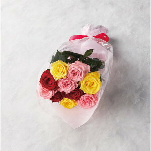 ỏԑ 21{100{܂ł̂\ ~bNX 19MX21-100 i ԁEO- ԉԑ(s)