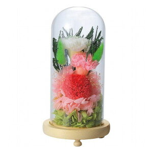 �������K���X�h�[���A�����W�����g �ѓ�(����) C29320 ���������i �ԁE�O��-�� �A-�g�A�����W��(����s��)�y���������z