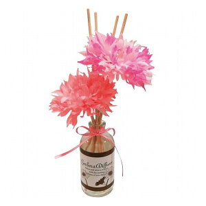 K[xfBt[U[ sIj[sN K[x 665891 i G A}(s)