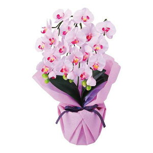 �A�[�e�B�t�B�V�����t�����[ 3�{���~�j�Ӓ��� ncr-minipo-lv(����s��)�y���������z
