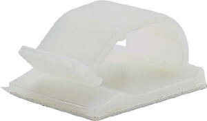 phECbg Œ R[hNbv SnSe[vt i` ACC62ACyz