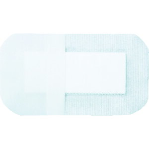 nN]EfBJ GoChDX NO.60 3155002