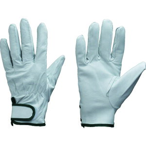 g ؊v NXg}WbNe[vt M 486M