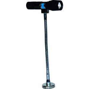 JlebN h`LEDCgX^h MEBW20Fyz