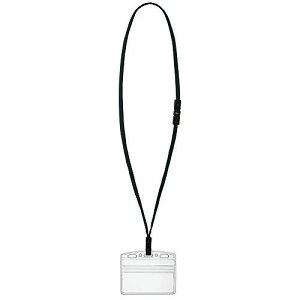 RN DZbg  1P it-SP180D