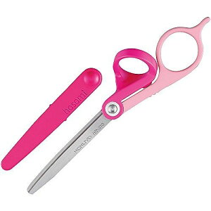 RN nT~ z\~ sN nT-310P