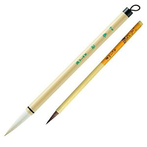  M {g 4+8 wZʗp ALS-100