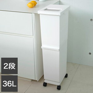 �V�P����������� ���j�[�h ���ʃX����2�i 36SWH �S�~�� �R���p�N�g ������� 36L �z���C�g(����s��)�y���������z