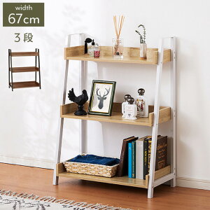 bNI 67cm 3i X`[ ACA  rO  VbN k V zCg ubN }[L[3i(s)yz