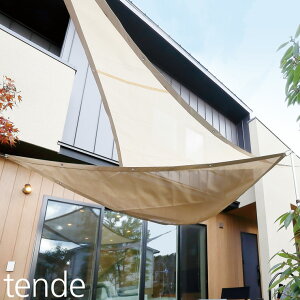 ^[v ef gCAOS 3.1×2.4m 悯 Ռ h  VF[h TVF[h x_ (s)yz