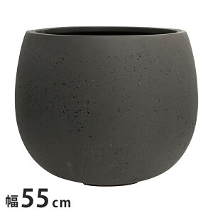 j\ ejAX [o[550 AeB[NzCg AeB[NubN Aؔ  킢   A ϗtA K[fjO(s)yz