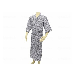 Ka쏊 eCRu K[[˂܂ amp  Myz