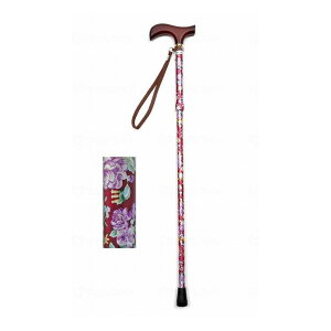 EFt@ CtXebL ܂肽ݐLk^ ԃCyz