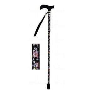 EFt@ CtXebL ܂肽ݐLk^ ubNyz