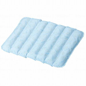 ���G���[�� �ʋC�r�[�Y�}�b�g �u���[(����s��)�y���������z