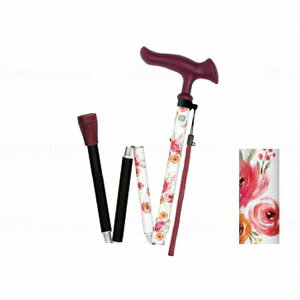 tWz[ 邪t@II ܏ ԕzCg(s)yz