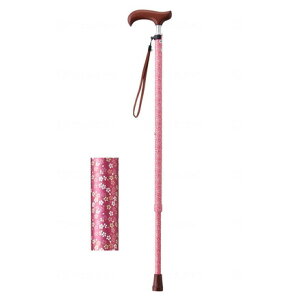 EFt@ CtXebL XlbNLkX^Cv() X߂ 009734(s)yz