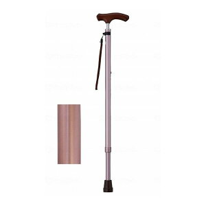 EFt@ CtXebL XlbNLkx[VbN^Cv(n) CuE Mtg{bNXdl 009732(s)yz