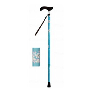 EFt@ CtXebL XlbNLkX^Cv() u[`F[ Mtg{bNXdl 009734(s)yz