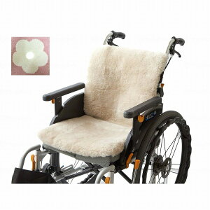 b Ԉ֎q[gV[g/Jt[/ Jt[ KIS 4080 121301 12071 1(s)yz