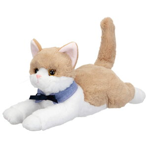 C Ȃ݃P[Vɂ ʂ 946006(s)yz