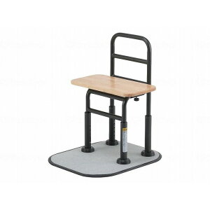 1 }LebN ʃ^b`EPLUS TM-2450 404348(s)yz