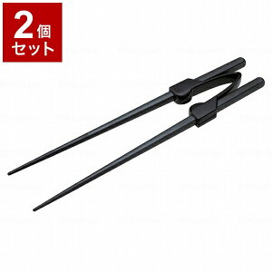 【単品2個セット】ピジョンタヒラ 使いやすいお箸 659000AV(代引不可)【送料無料】