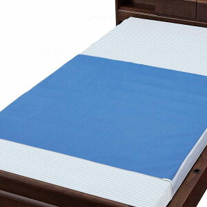 �E�F���t�@�� �f�j���h���V�[�c(�唻�^�C�v)/�u���[/�唻/�P�[�X(����s��)�y���������z