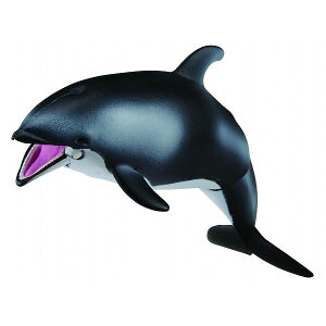 AjA AS-19 J}CJ ɕVer. ^Jg~[ ߋ  NX}Xv[g