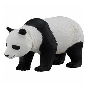 ^Jg~[ AjA AS-03 WCAgp_(s)yz